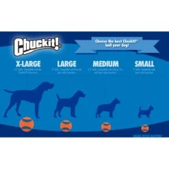 Chuckit! Fetch Ball Dog Toy, Color Varies -Pet Dog Toys 64787 PT8. AC SS1800 V1530222881