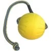 Starmark Swing 'n Fling DuraFoam Ball Dog Toy 2 Starmark Swing 'n Fling DuraFoam Ball Dog Toy -Pet Dog Toys 65579 MAIN. AC SS1800 V1589319675