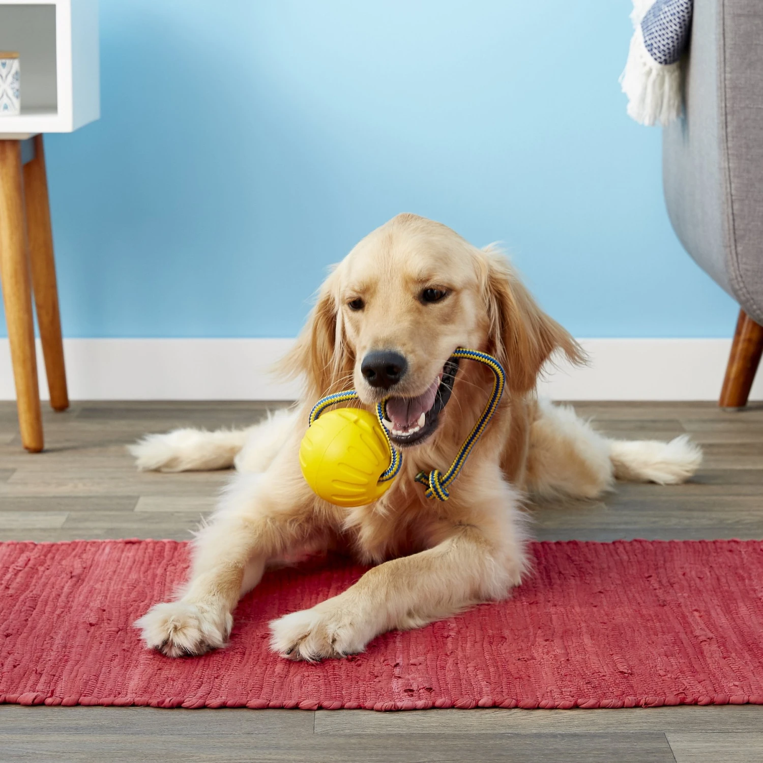 Starmark Swing 'n Fling DuraFoam Ball Dog Toy 5 Starmark Swing 'n Fling DuraFoam Ball Dog Toy - Image 3