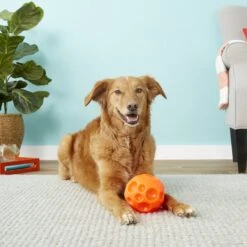 Omega Paw Tricky Treat Ball Dog Toy -Pet Dog Toys 66289 PT3. AC SS1800 V1530911427