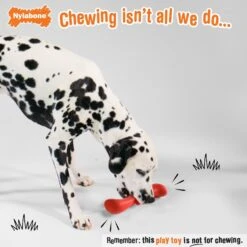 Nylabone Creative Play Stik-GO Interactive Dog Toy, Red -Pet Dog Toys 665702 PT2. AC SS1800 V1679081895