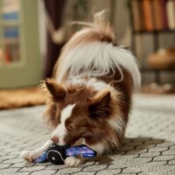 Frisco Halloween Bat Fetch Squeaky Tennis Ball Dog Toy -Pet Dog Toys 668278 PT3. AC SS1800 V1689350166