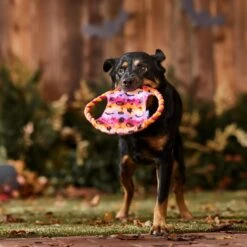 Frisco Halloween Ghost Swirl Fetch Flyer Dog Toy 8 Frisco Halloween Ghost Swirl Fetch Flyer Dog Toy -Pet Dog Toys 668294 PT3. AC SS1800 V1689278363