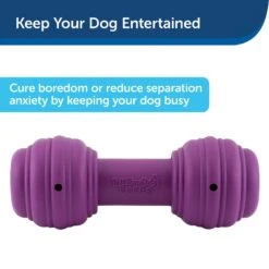 PetSafe Busy Buddy Chuckle Squeaky Treat Dispenser Dog Toy -Pet Dog Toys 67197 PT3. AC SS1800 V1602303964