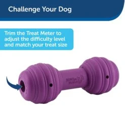 PetSafe Busy Buddy Chuckle Squeaky Treat Dispenser Dog Toy -Pet Dog Toys 67197 PT6. AC SS1800 V1602292561