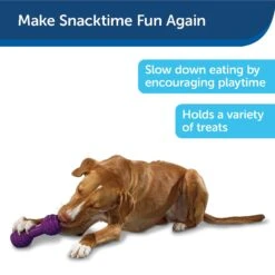 PetSafe Busy Buddy Chuckle Squeaky Treat Dispenser Dog Toy -Pet Dog Toys 67197 PT7. AC SS1800 V1602285959
