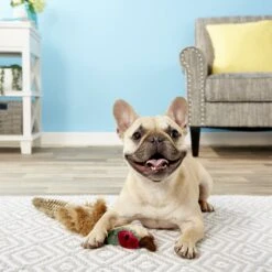 Pet Dog Toys -Pet Dog Toys 68038 PT1. AC SS1800 V1545171799