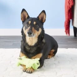 Multipet Loofa Dog The Original Squeaky Plush Dog Toy, Color Varies 9 Multipet Loofa Dog The Original Squeaky Plush Dog Toy, Color Varies -Pet Dog Toys 68071 PT2. AC SS1800 V1530544164