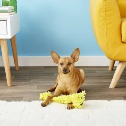 Multipet Loofa Floppy Light-Weight Squeaky Stuffing-Free Dog Toy -Pet Dog Toys 68076 PT3. AC SS1800 V1545171770