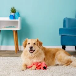 Multipet Loofa Squeaker Mat Soft Plush Dog Toy, Color Varies 12 Multipet Loofa Squeaker Mat Soft Plush Dog Toy, Color Varies -Pet Dog Toys 68083 PT2. AC SS1800 V1530544396