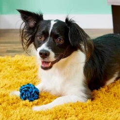 Multipet Nuts For Knots Ball Dog Toy, Color Varies -Pet Dog Toys 68144 PT3. AC SS1800 V1530911477