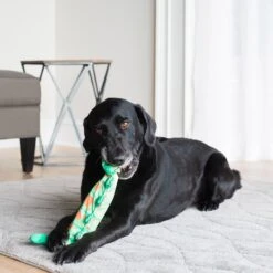 Fat Cat Water Bottle Crunchers Dog Toy, Character Varies -Pet Dog Toys 68609 PT2. AC SS1800 V1602336363