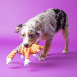 Fat Cat Terrible Nasty Scaries Squeaky Dog Toy, Large, Color Varies -Pet Dog Toys 68615 PT2. AC SS1800 V1602319260