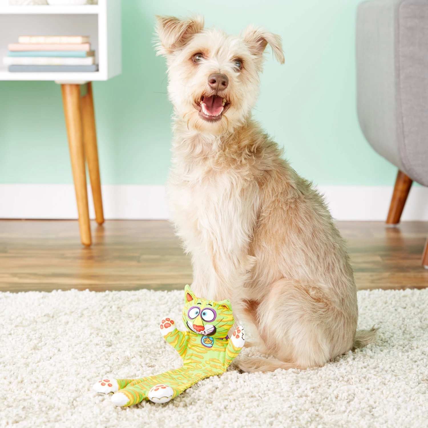 Fat Cat Incredible Strapping Flip-Flop Yankers Squeaky Dog Toy, Character Varies 4 Fat Cat Incredible Strapping Flip-Flop Yankers Squeaky Dog Toy, Character Varies - Image 2