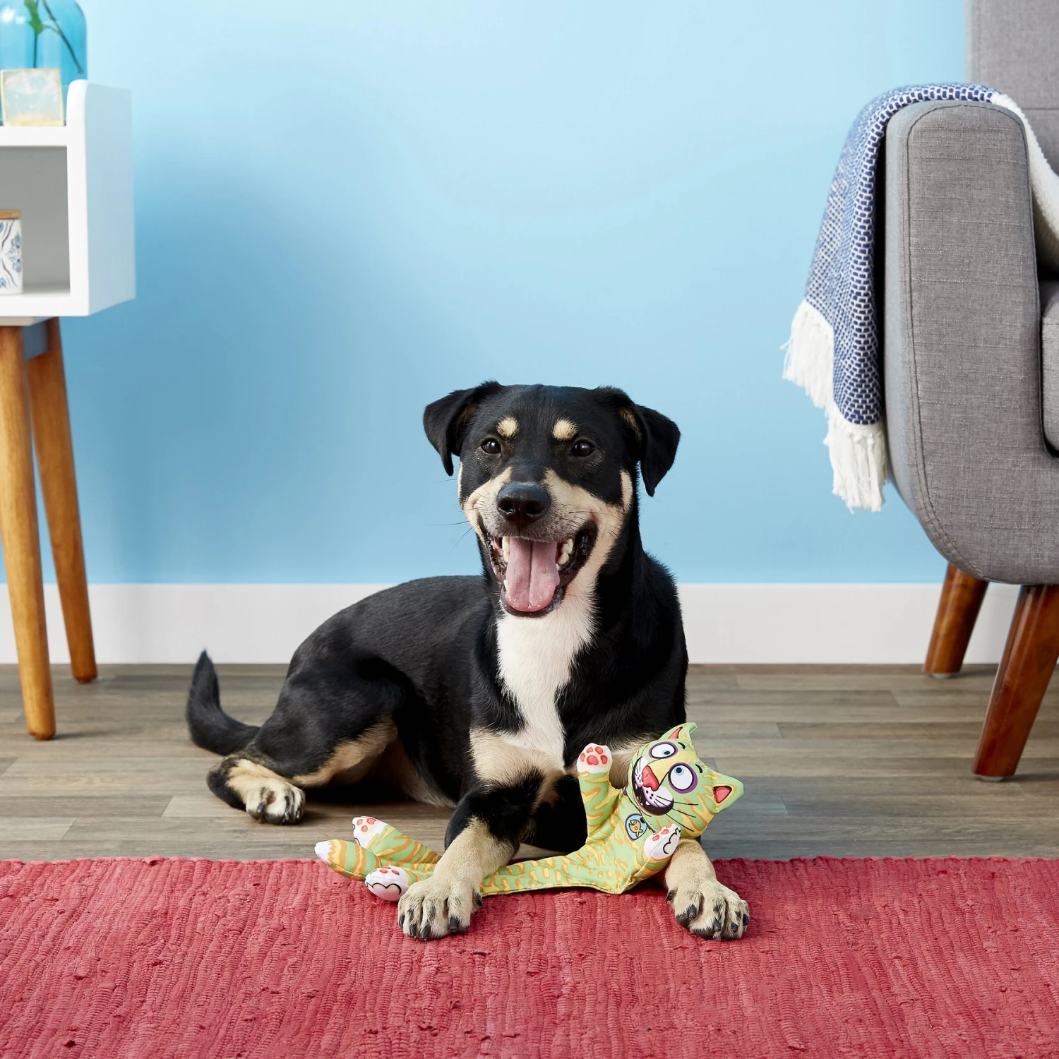 Fat Cat Incredible Strapping Flip-Flop Yankers Squeaky Dog Toy, Character Varies 5 Fat Cat Incredible Strapping Flip-Flop Yankers Squeaky Dog Toy, Character Varies - Image 3