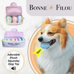 Bonne Et Filou Macaron Plush Squeaky Dog Toy -Pet Dog Toys 689886 PT2. AC SS1800 V1667519954