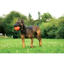 Ruff Dawg Ball Dog Toy, Assorted Colors, XX-Large -Pet Dog Toys 696726 PT2. AC SS1800 V1669235063