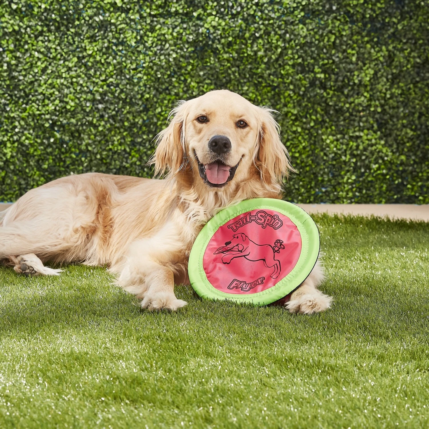 Booda Soft Bite Tail Spin Flyer Flying Disc Dog Toy, Color Varies 4 Booda Soft Bite Tail Spin Flyer Flying Disc Dog Toy, Color Varies - Image 2