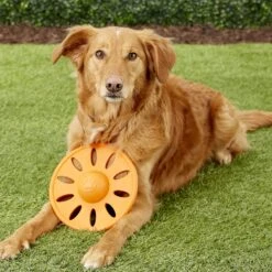 JW Pet Whirlwheel Flying Disk Dog Toy, Color Varies -Pet Dog Toys 71070 PT4. AC SS1800 V1531508852
