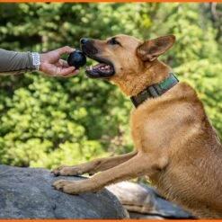 Monster K9 Dog Toys Ultra Durable Dog Ball, Black 15 Monster K9 Dog Toys Ultra Durable Dog Ball, Black -Pet Dog Toys 711358 PT6. AC SS1800 V1668809678