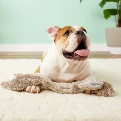 Ethical Pet Skinneeez Forest Series Rabbit Stuffing-Free Squeaky Plush Dog Toy -Pet Dog Toys 71338 PT7. AC SS1800 V1527093123