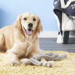 Ethical Pet Skinneeez Forest Series Rabbit Stuffing-Free Squeaky Plush Dog Toy -Pet Dog Toys 71338 PT8. AC SS1800 V1531508819