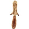 Ethical Pet Skinneeez Forest Series Squirrel Stuffing-Free Squeaky Plush Dog Toy -Pet Dog Toys 71344 MAIN. AC SS1800 V1527093135