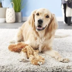 Ethical Pet Skinneeez Forest Series Squirrel Stuffing-Free Squeaky Plush Dog Toy 9 Ethical Pet Skinneeez Forest Series Squirrel Stuffing-Free Squeaky Plush Dog Toy -Pet Dog Toys 71344 PT7. AC SS1800 V1527093148