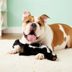 Ethical Pet Skinneeez Forest Series Skunk Stuffing-Free Squeaky Plush Dog Toy -Pet Dog Toys 71347 PT7. AC SS1800 V1527093166