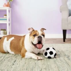 Ethical Pet Soccer Ball Squeaky Plush Dog Toy -Pet Dog Toys 71360 PT1. AC SS1800 V1545172645
