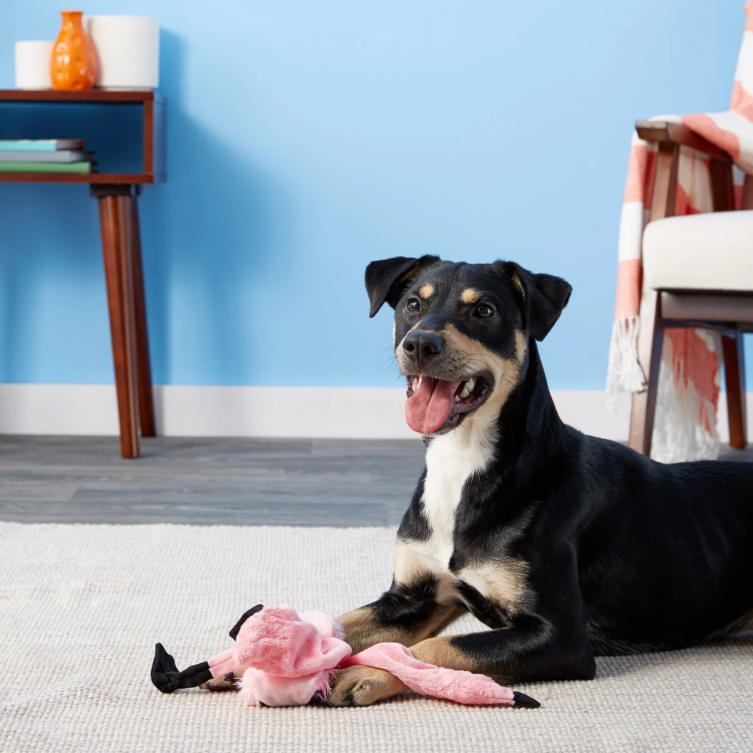 Ethical Pet Skinneeez Exotic Series Pink Flamingo Stuffing-Free Squeaky Plush Dog Toy 7 Ethical Pet Skinneeez Exotic Series Pink Flamingo Stuffing-Free Squeaky Plush Dog Toy - Image 5