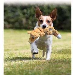 KONG Scrunch Knots Fox Dog Toy 12 KONG Scrunch Knots Fox Dog Toy -Pet Dog Toys 71940 PT6. AC SS1800 V1603146695