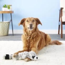 KONG Scrunch Knots Raccoon Dog Toy 9 KONG Scrunch Knots Raccoon Dog Toy -Pet Dog Toys 71943 PT1. AC SS1800 V1534452389