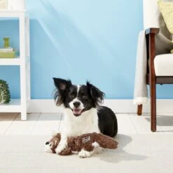 KONG Scrunch Knots Squirrel Dog Toy -Pet Dog Toys 71946 PT4. AC SS1800 V1603167690