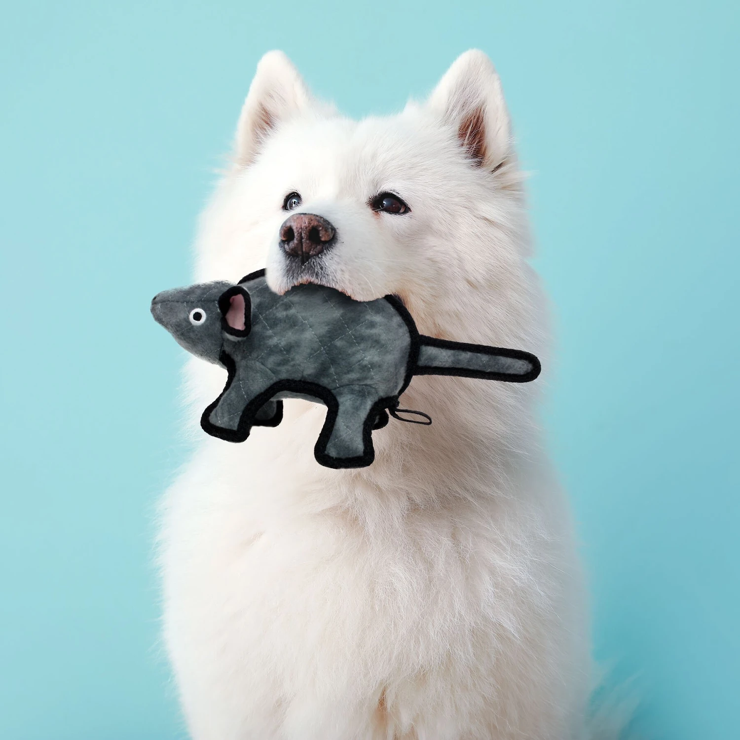 Tuffy's Gray Mouse Mo Plush Dog Toy 5 Tuffy's Gray Mouse Mo Plush Dog Toy - Image 3