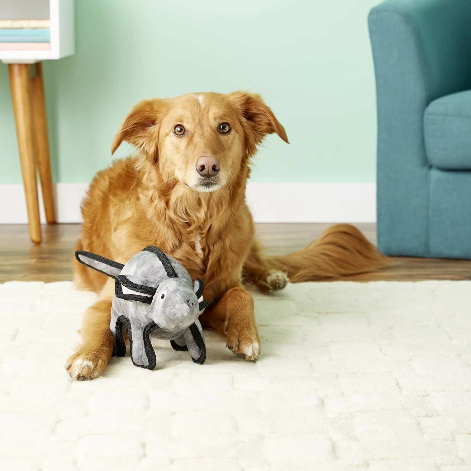 Tuffy's Gray Mouse Mo Plush Dog Toy 6 Tuffy's Gray Mouse Mo Plush Dog Toy - Image 4