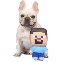 Fetch For Pets Minecraft Steve Figure Plush Squeaky Dog Toy, Large -Pet Dog Toys 728494 PT3. AC SS1800 V1682608603