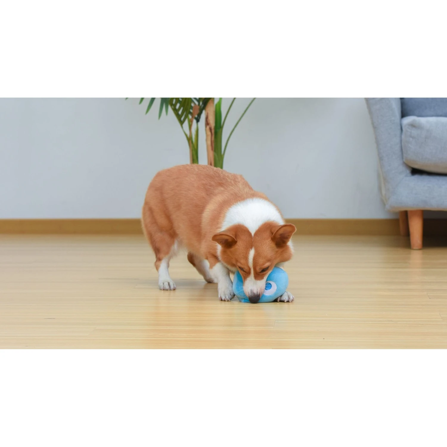 Fetch For Pets Pac-Man Inky Figure Plush Squeaky Dog Toy 7 Fetch For Pets Pac-Man Inky Figure Plush Squeaky Dog Toy - Image 5