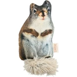 Territory Floppy Friends Rabbit & Squirrel Dog Toy Bundle, 2 Count -Pet Dog Toys 729262 PT2. AC SS1800 V1670006796