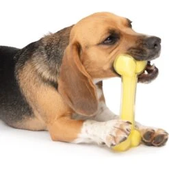 Zeus Duo Bone Dog Toy, 7-in, Yellow 10 Zeus Duo Bone Dog Toy, 7-in, Yellow -Pet Dog Toys 732150 PT3. AC SS1800 V1670513168