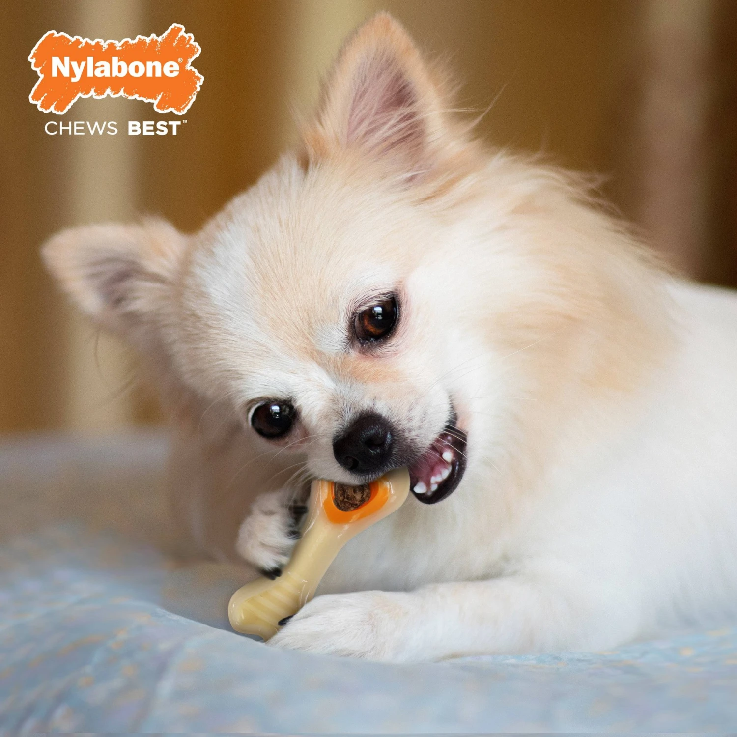 Nylabone Power Chew Knuckle Bone & Pop-In Treat Dog Toy Combo Knuckle Bone Pop-In Treat Toy Chicken Pop-In 5 Nylabone Power Chew Knuckle Bone & Pop-In Treat Dog Toy Combo Knuckle Bone Pop-In Treat Toy Chicken Pop-In - Image 3