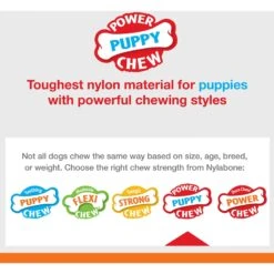 Nylabone Puppy Power Chew Knuckle Bone & Pop-In Puppy Treat Toy Combo -Pet Dog Toys 737846 PT3. AC SS1800 V1672935650