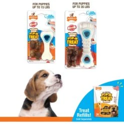 Nylabone Puppy Power Chew Knuckle Bone & Pop-In Puppy Treat Toy Combo -Pet Dog Toys 737846 PT8. AC SS1800 V1688159511
