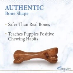Nylabone Puppy Gourmet Style Strong Chew Femur Bacon Flavored Dog Toy, Brown, Small 15 Nylabone Puppy Gourmet Style Strong Chew Femur Bacon Flavored Dog Toy, Brown, Small -Pet Dog Toys 737870 PT4. AC SS1800 V1672930606