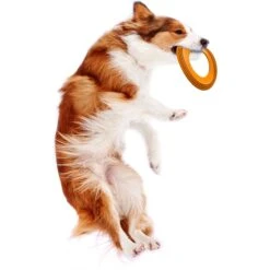 Nylabone Power Play Super Flyer Gripz Disc Dog Toy, One Size -Pet Dog Toys 737950 PT7. AC SS1800 V1672930487