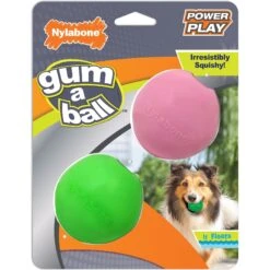Nylabone Power Play Gum-a-Ball Dog Toy, One Size, 2 Count