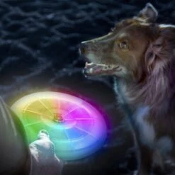 Nite Ize Flashflight Discuit LED Flying Disc Dog Toy -Pet Dog Toys 73842 PT2. AC SS1800 V1587155160