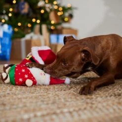 Frisco Holiday Santa On Vacation 2-in-1 Plush Squeaky Dog Toy 11 Frisco Holiday Santa On Vacation 2-in-1 Plush Squeaky Dog Toy -Pet Dog Toys 739894 PT3. AC SS1800 V1695045718