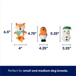 Frisco Holiday Melting Snow Globe Hide & Seek Puzzle Plush Squeaky Dog Toy 10 Frisco Holiday Melting Snow Globe Hide & Seek Puzzle Plush Squeaky Dog Toy -Pet Dog Toys 739910 PT2. AC SS1800 V1694814063