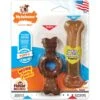 Nylabone Just For Puppies Teething Chew Ring Bone & Toy Ring Bone Twin Pack Flavor Medley & Chicken Flavor
